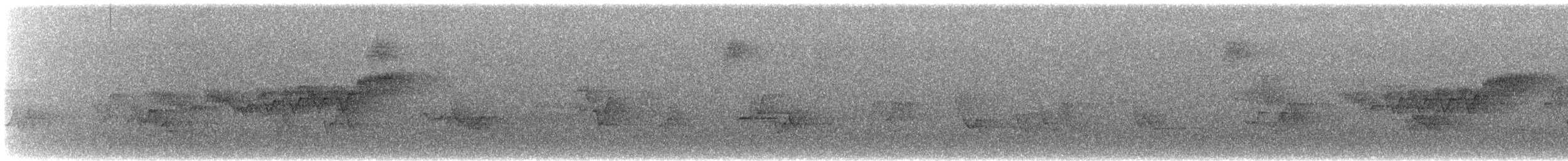 Cerulean Warbler - ML603045571