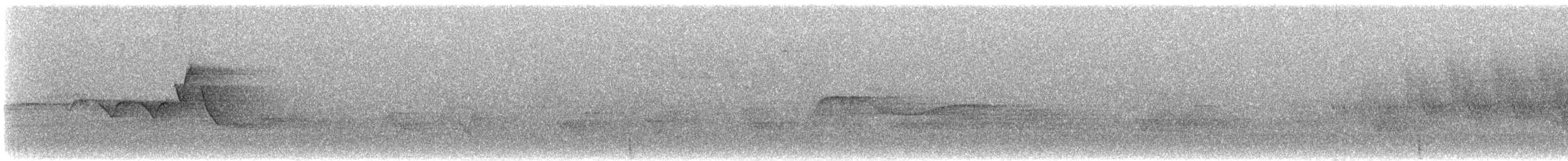 Hooded Warbler - ML603045681