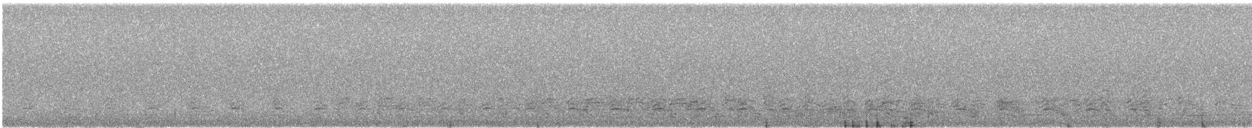 Пелікан рогодзьобий - ML603058661