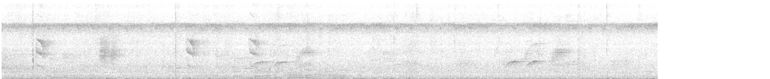 Rostflanken-Ameisenschnäpper - ML603063591