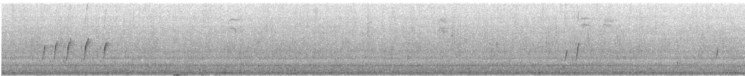 Batı Amerika Sinekkapanı (occidentalis/hellmayri) - ML603075271
