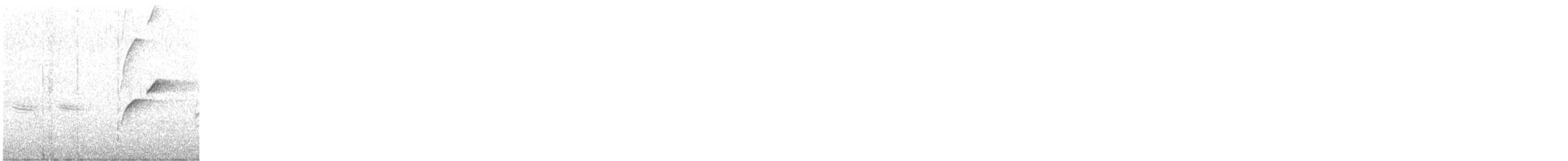 Batı Amerika Sinekkapanı (occidentalis/hellmayri) - ML603097811