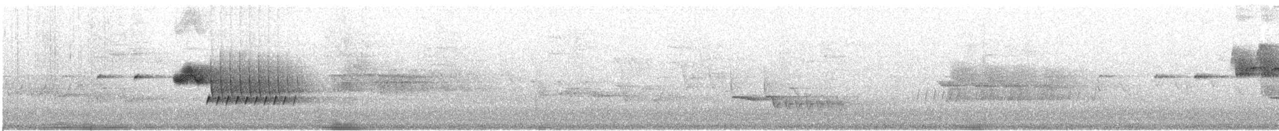 Номин гургалдай - ML603119501