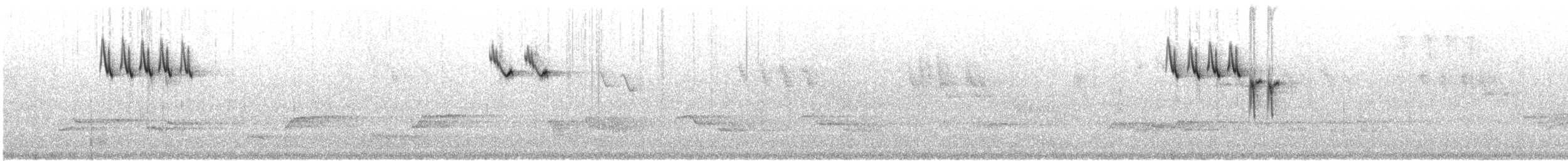 Плиска гірська - ML603119851