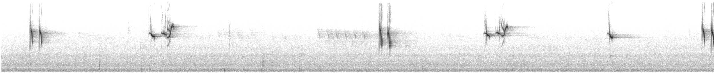 Плиска гірська - ML603119861