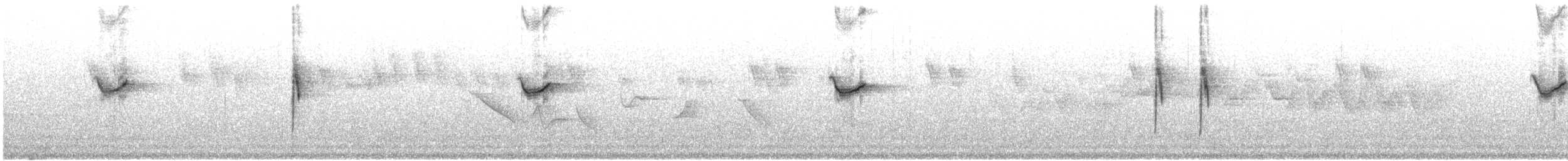 Плиска гірська - ML603125511