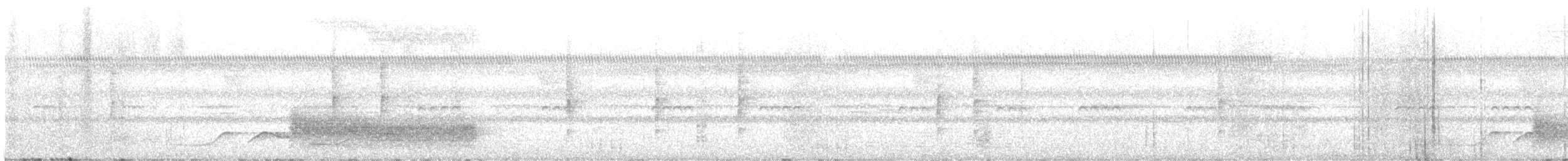 Charlatán Mitrado - ML603138401