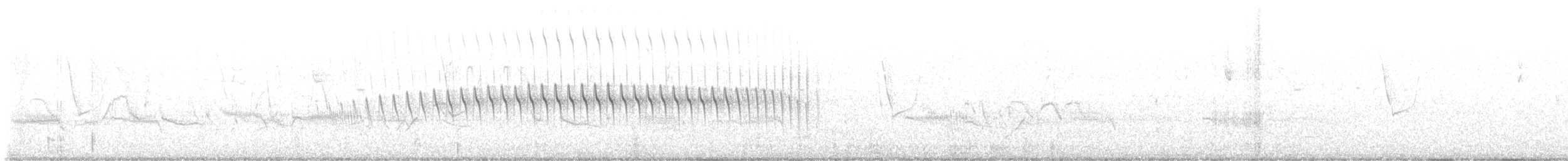 Remolinera Colilarga (pabsti) - ML603150071