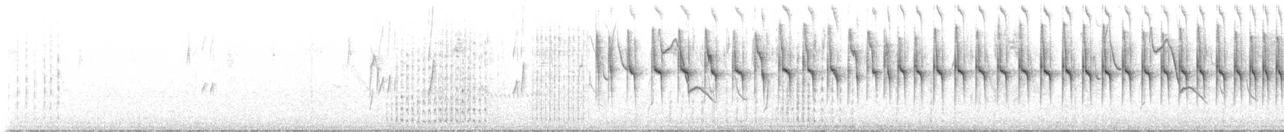 Synallaxe à bec droit - ML603154651