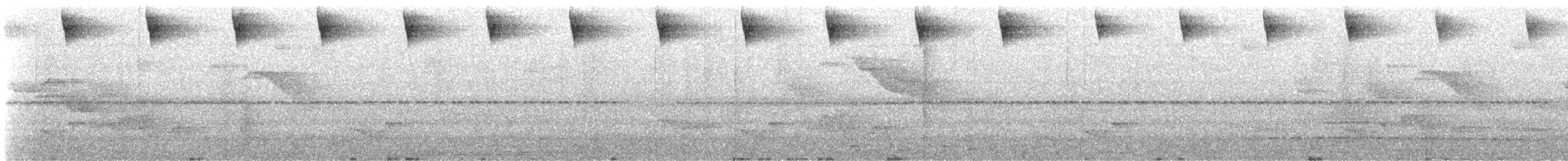 Черноухий колибри - ML603160011