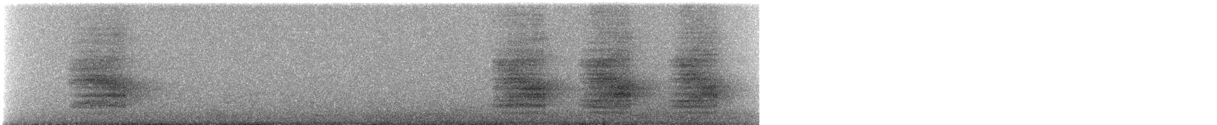 Steller Kargası [diademata grubu] - ML603163391