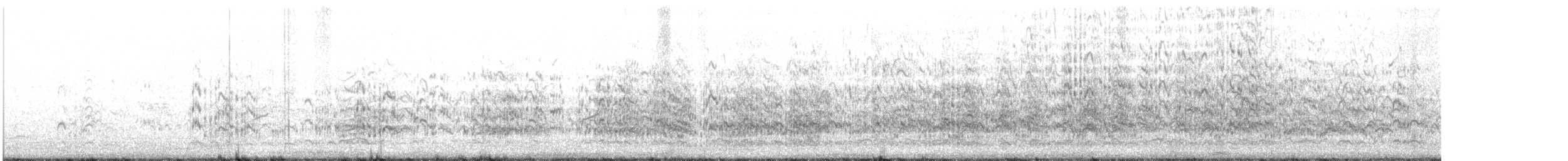 ユウガアジサシ - ML603209661