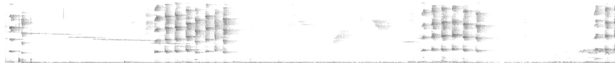 Braunbrust-Todityrann - ML603223631