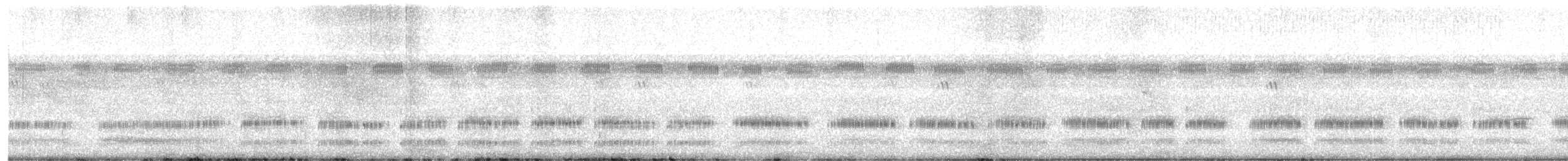 Polluela Ocelada - ML603246531