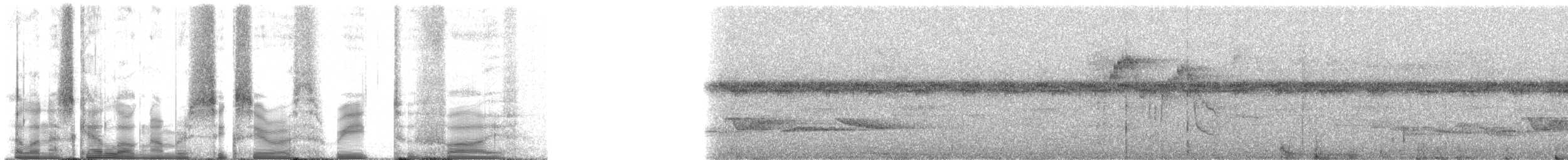 Slaty-tailed Trogon (Massena) - ML60325