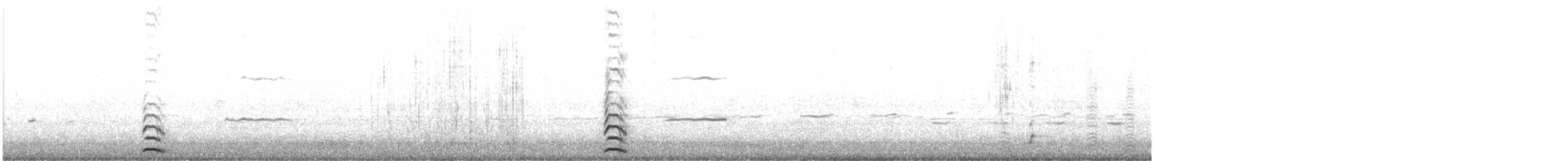 Желтоклювая лысуха - ML603256361