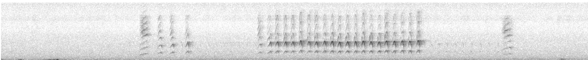 Méliphage serti - ML603275061