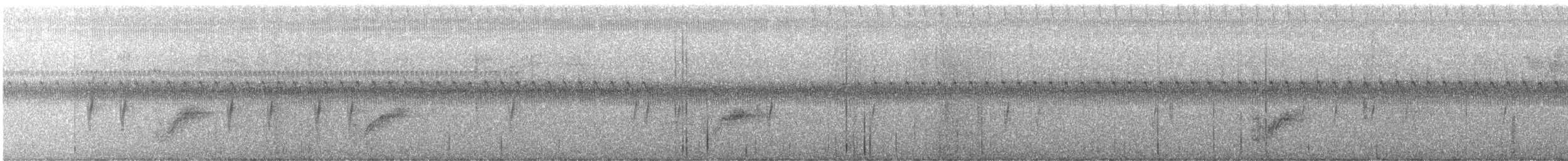 Fichtenkreuzschnabel (Typ 4) - ML603283611