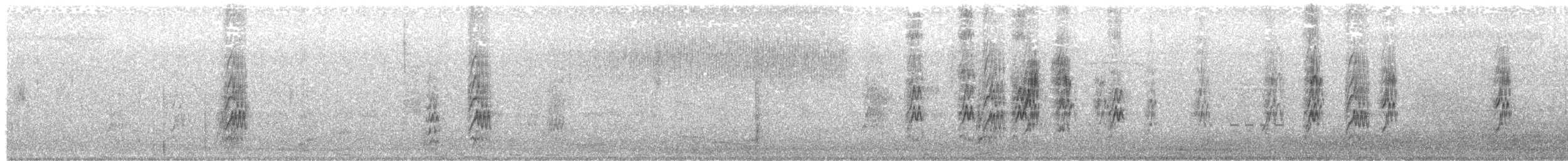 Hirondelle à front blanc (groupe pyrrhonota) - ML603291571