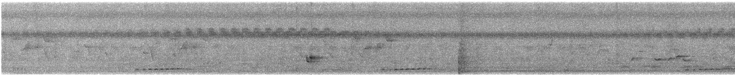 Желтоклювый саблеклюв - ML603302171