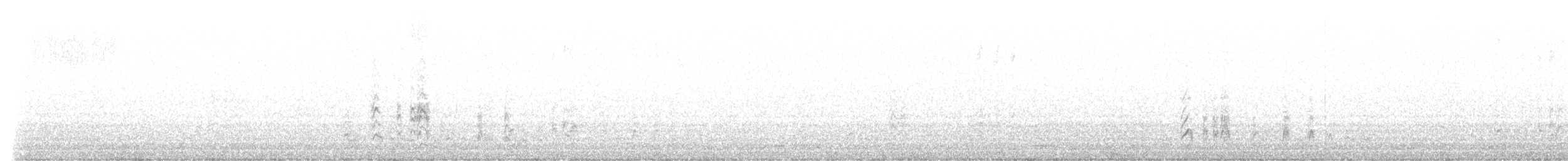 白腰叉尾海燕 - ML603305111