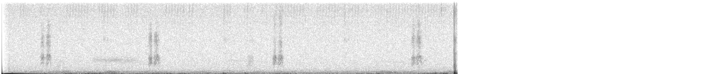 maghrebskjære - ML603320461