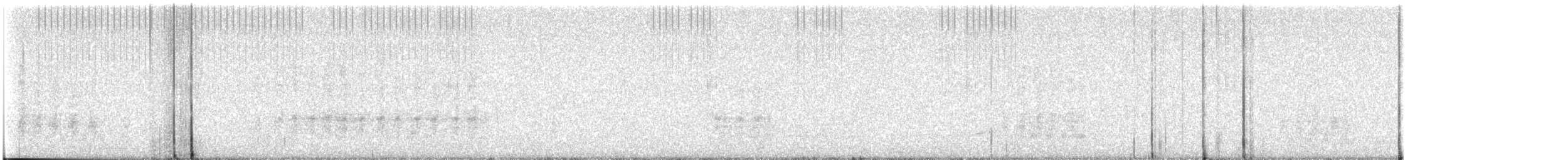 maghrebskjære - ML603320471