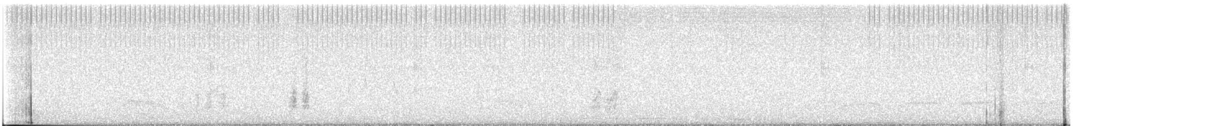 maghrebskjære - ML603320491