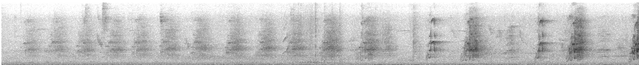 キボウシインコ - ML603341071