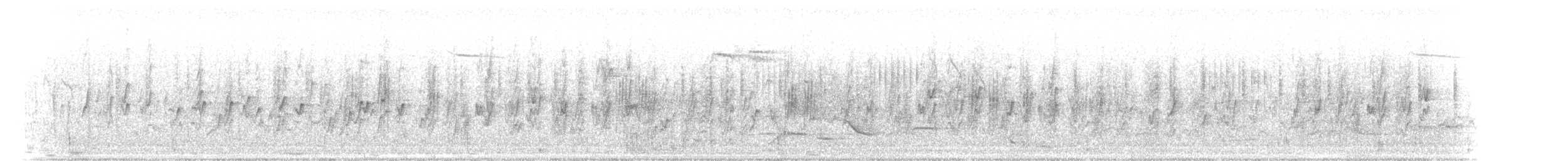 vlaštovka obecná (ssp. rustica) - ML603344161