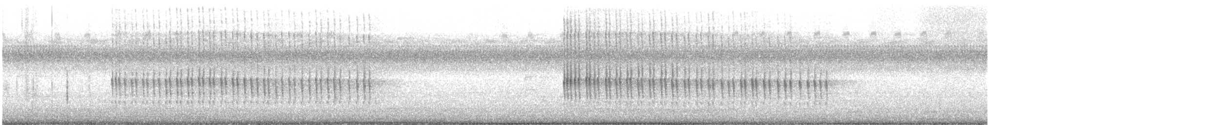 שלדג אמריקני - ML603358031