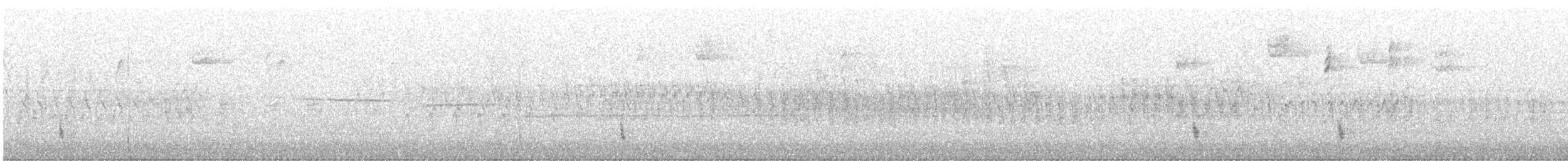 Дрізд-короткодзьоб плямистоволий - ML603369381