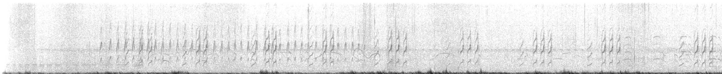 kjerrstifthale - ML603369601