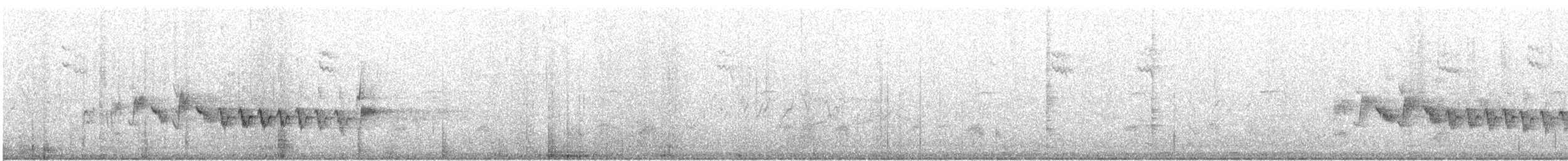 Кропив'янка прудка (підвид curruca/blythi/hamertoni) - ML603376341