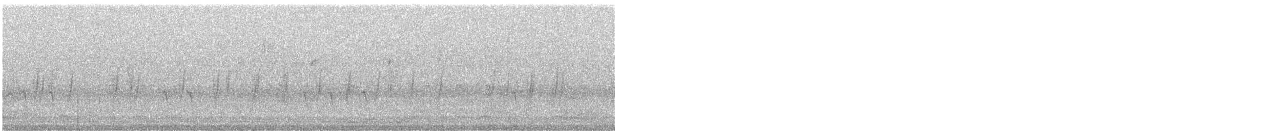 Crociere comune - ML603381201