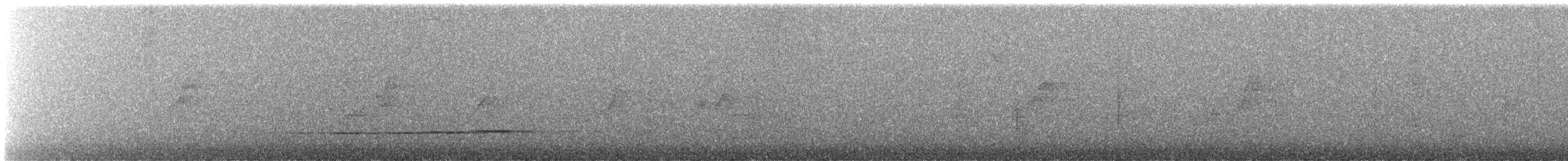 Grallaire de Natterer - ML603393221