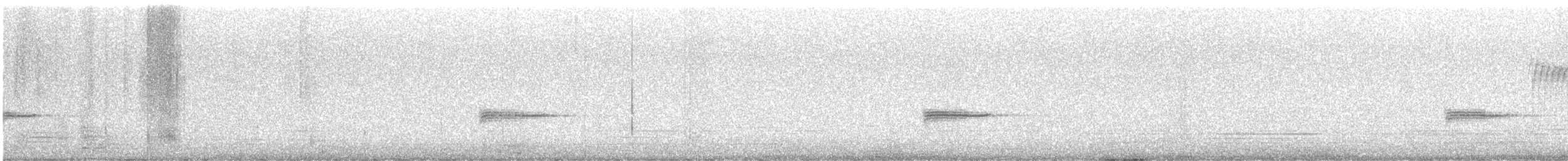 Тауї плямистий - ML603435071