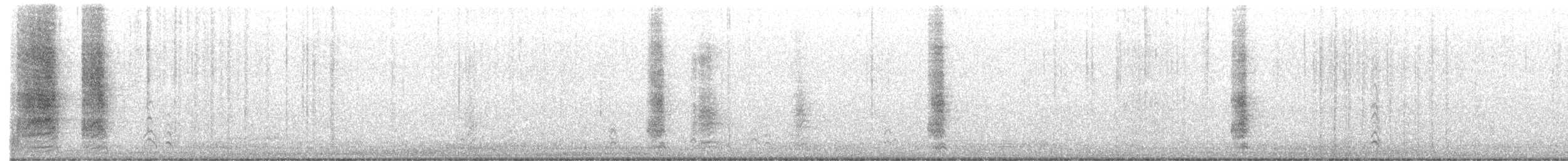 カナダカケス（obscurus／griseus） - ML603460611