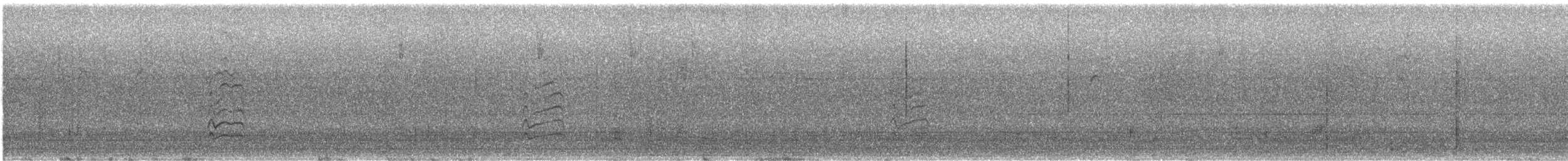 Tohi à queue verte - ML603471221