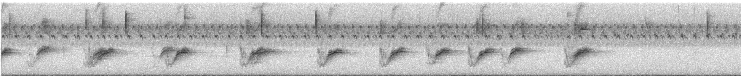 rødsidetovi (erythrophthalmus/canaster) - ML603495681