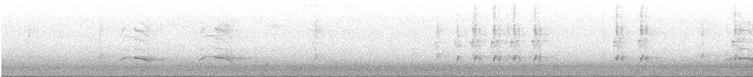 gråskrike (capitalis/bicolor) - ML603502451