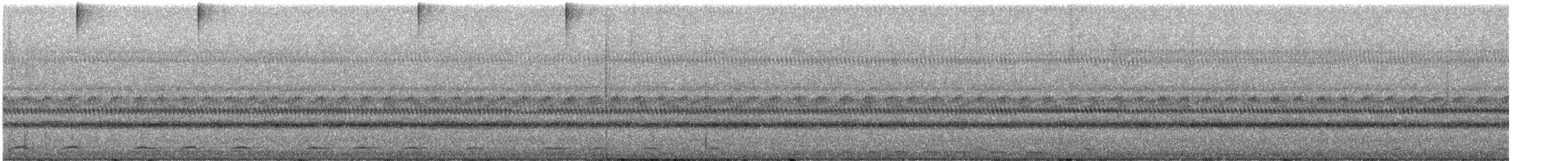 Whiskered Screech-Owl - ML603529761