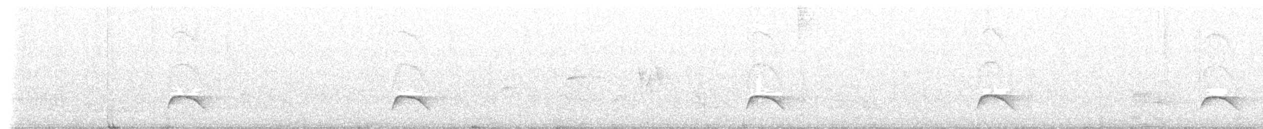 White-crested Elaenia - ML603596901