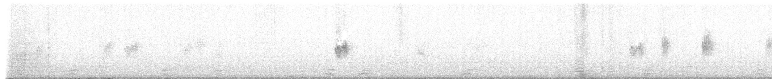 Schwarzsteißschwalbe (patagonica) - ML603597291