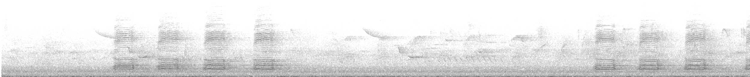 australkråke - ML603603981