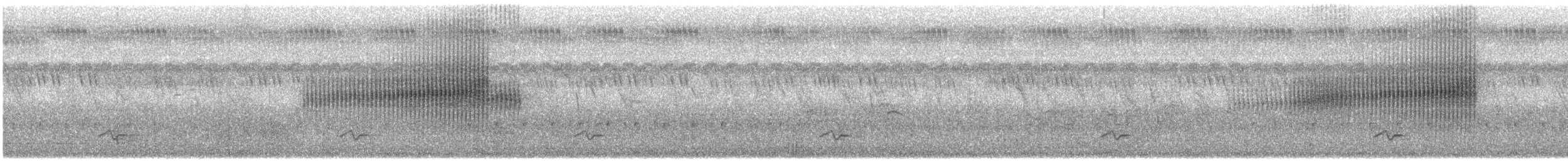 Cisticole du Nil - ML603698471