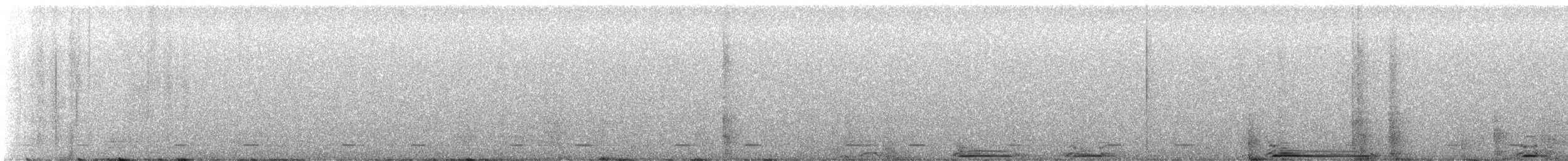Chevêchette naine (gnoma) - ML603699161