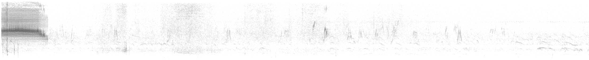 Strichelrücken-Dickichtschlüpfer - ML603711801