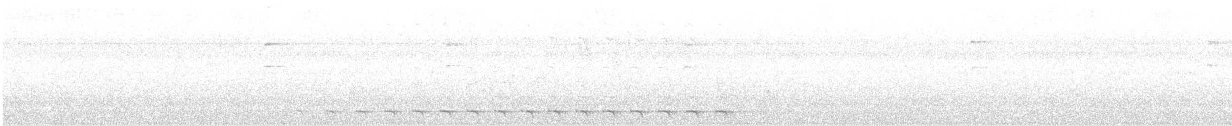 Синешапочный трогон - ML603754871