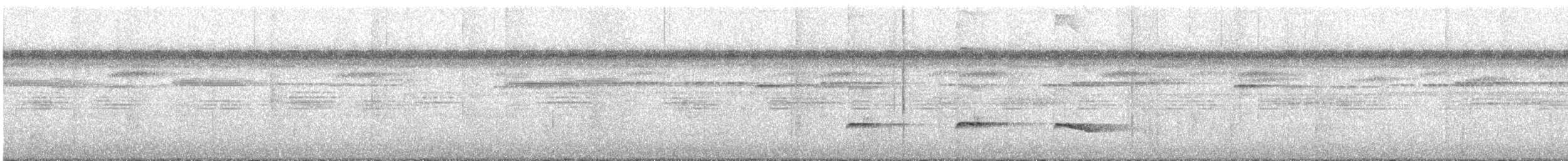 Kestane Sırtlı Karıncakuşu - ML603761941